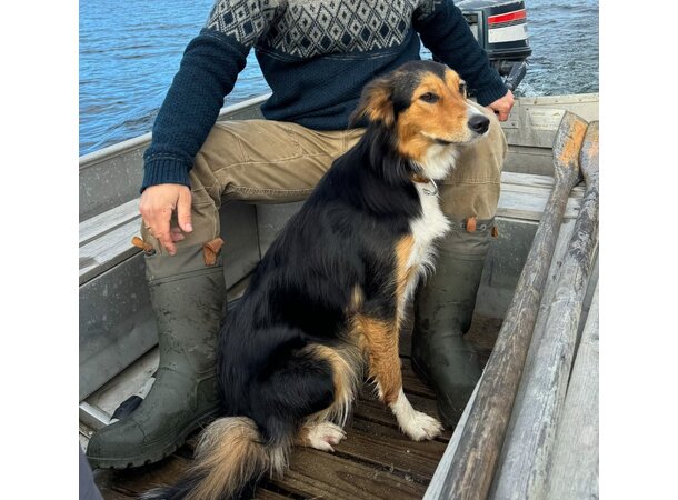 KAMIK TUNDRA Vintersko Herre
