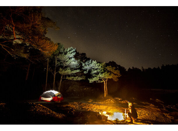 MSR Mutha Hubba NX Telt Grønn