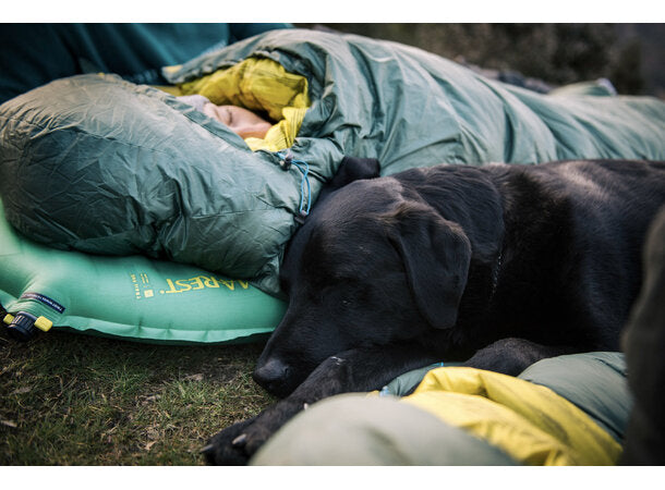 Therm-a-Rest Questar 20F/-6C