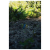 SEA TO SUMMIT GROUND CONTROL TENT PEG